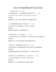 2026年智能圖像處理考試及答案