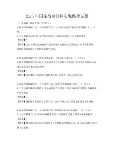 2025年國家戰(zhàn)略目標實現(xiàn)路徑試題