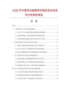 2026年中国多功能塑料吹瓶机项目投资可行性研究报告