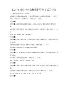 2025年城市排水設施維護管理考試及答案