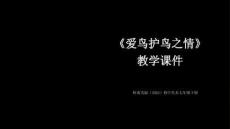 第13课《爱鸟护鸟之情》教学课件-2025-2026学年岭南美版（2024）初中美术七年级下册