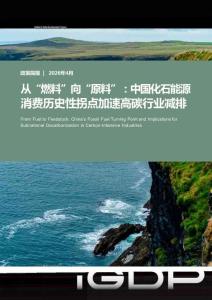 2026從“燃料”向“原料”：中國化石能源消費歷史性拐點加速地方高碳行業減排報告