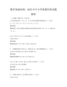 数学基础巩固：2025年中小学奥数经典试题解析