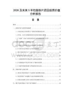 2026及未來5年釣魚鐵片項目投資價值分析報告