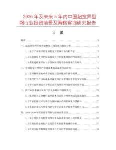 2026年及未來5年內中國超寬異型網行業投資前景及策略咨詢研究報告