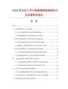 2026及未來5年中國鍍黃銅制刷鋼絲行業發展研究報告