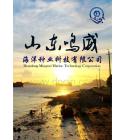 山东鸣威海洋种业科技有限公司商业计划书