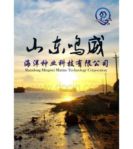 山東鳴威海洋種業科技有限公司商業計劃書