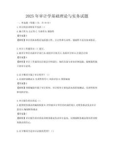 2025年審計學(xué)基礎(chǔ)理論與實務(wù)試題