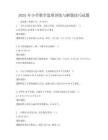 2025年小學數學思維訓練與解題技巧試題