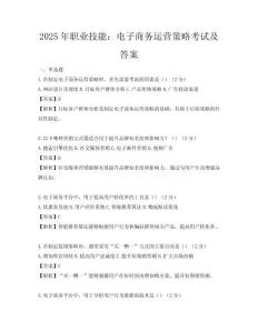 2025年職業技能：電子商務運營策略考試及答案