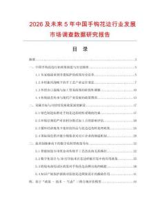 2026及未來5年中國手鉤花邊行業發展市場調查數據研究報告