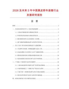 2026及未来5年中国真皮轿车座套行业发展研究报告
