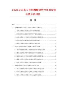 2026及未來5年枸櫞酸鉍鉀片項目投資價值分析報告