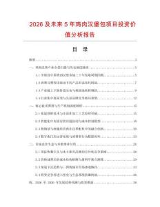 2026及未來5年雞肉漢堡包項目投資價值分析報告