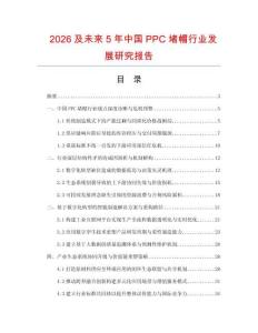 2026及未來5年中國PPC堵帽行業發展研究報告