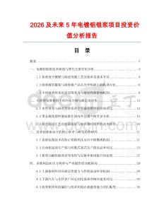 2026及未來5年電鍍鋁銀漿項(xiàng)目投資價(jià)值分析報(bào)告