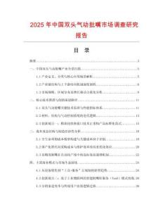 2025年中國雙頭氣動批嘴市場調查研究報告