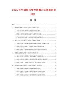 2025年中国锥形弹性垫圈市场调查研究报告