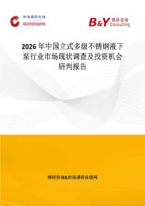 2026年中国立式多级不锈钢液下泵行业市场现状调查及投资机会研判报告