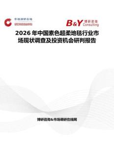 2026年中國素色超柔地毯行業市場現狀調查及投資機會研判報告