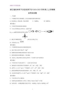 浙江省杭州市下沙區杭四下沙2024-2025學年高二上學期期末考試化學試題