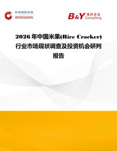 2026年中國米果(Rice Cracker)行業市場現狀調查及投資機會研判報告