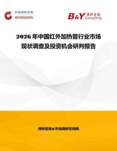 2026年中國紅外加熱管行業(yè)市場現(xiàn)狀調(diào)查及投資機(jī)會研判報告