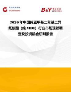 2026年中國純亞甲基二苯基二異氰酸酯（純MDI）行業市場現狀調查及投資機會研判報告