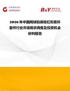 2026年中國網球拍保險杠和索環套件行業市場現狀調查及投資機會研判報告