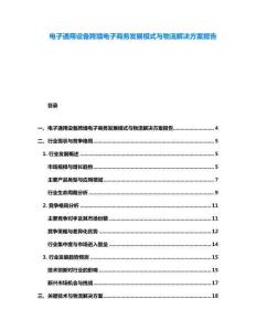 電子通用設(shè)備跨境電子商務(wù)發(fā)展模式與物流解決方案報(bào)告