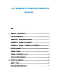 2025中國(guó)儲(chǔ)能技術(shù)行業(yè)市場(chǎng)深度分析及競(jìng)爭(zhēng)策略與投資前景評(píng)估報(bào)告