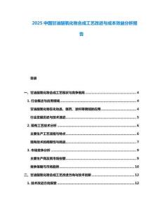 2025中國甘油醚氧化物合成工藝改進與成本效益分析報告