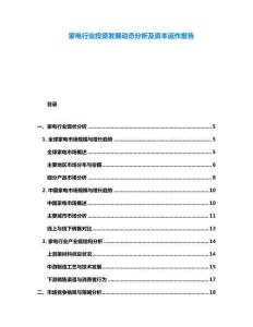 家電行業投資發展動態分析及資本運作報告