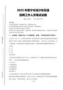 2025年普寧市流沙東街道招聘考試真題