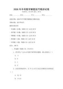 2026年中考數學解題技巧精講試卷