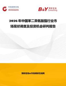 2026年中國苯二異氰酸酯行業市場現狀調查及投資機會研判報告