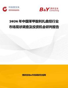 2026年中國苯甲酸利扎曲坦行業市場現狀調查及投資機會研判報告