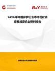 2026年中國薩羅行業市場現狀調查及投資機會研判報告