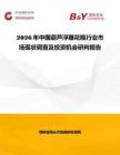 2026年中國葫蘆浮雕花瓶行業市場現狀調查及投資機會研判報告