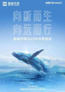 盈峰環(huán)境：2025年年度報告