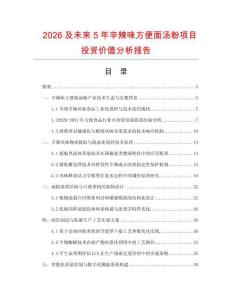 2026及未来5年辛辣味方便面汤粉项目投资价值分析报告