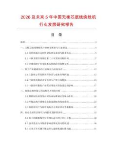 2026及未來5年中國無梭芯底線繞線機行業(yè)發(fā)展研究報告