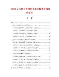2026及未來5年接劍頭項目投資價值分析報告