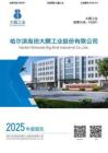 大鵬工業(yè)：2025年年度報告