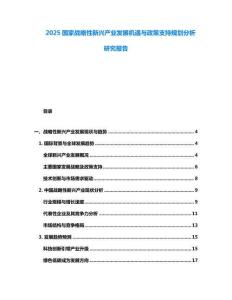 2025國家戰略性新興產業發展機遇與政策支持規劃分析研究報告
