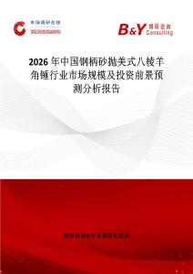 2026年中國鋼柄砂拋美式八棱羊角錘行業市場規模及投資前景預測分析報告