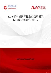 2026年中國鋼棒行業(yè)市場規(guī)模及投資前景預測分析報告