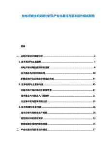 光電纖維技術突破分析及產業化路徑與資本運作模式報告
