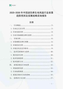 2025-2030年中国迷你养生电炖盅行业前景趋势预测及发展战略咨询报告